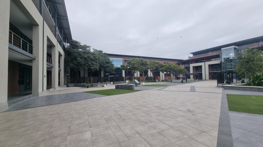 To Let Commercial Property for Rent in Observatory Western Cape